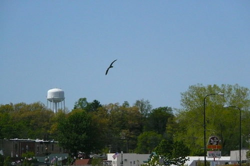 Image:Montague-MI-2008-byDanielJMcKeown--2544143326 2a50a44d57.jpg
